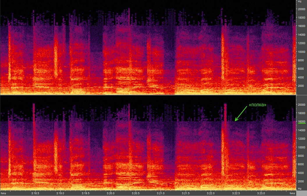 Adobe Audition: Spectrum zoomed